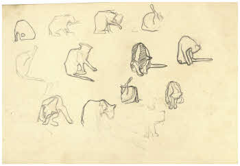 Visualizza l'immagine "FD D 283"